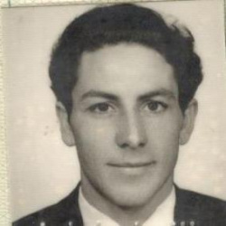 José Alves do Amaral