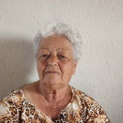 Noêmia da Silva Ribeiro