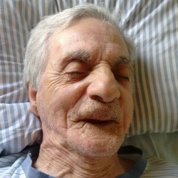 José Teixeira da Silva