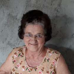 Luiza Ribeiro Barcelos