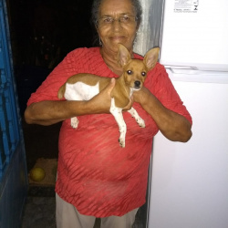 Expedita Ferreira dos Santos