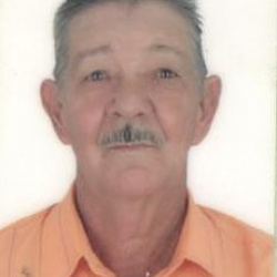 Alcides Alves Araújo