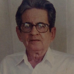 João Fonseca Silva