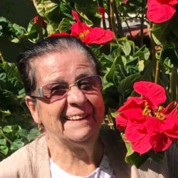 Maria Amelia Torres de Oliveira