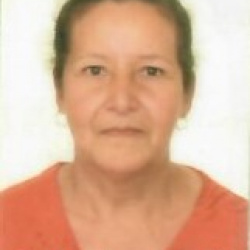 Maria Margarida Silva Ferreira