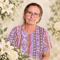 Maria do Carmo Fernandes Soares