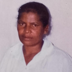 Maria Berenice de Paula Tavares