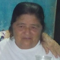 Margarida Soares Rodrigues