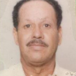 Alcides Elias Lopes