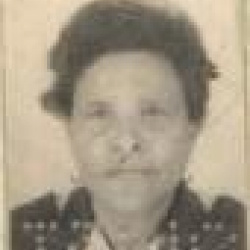 Narcisa Viana