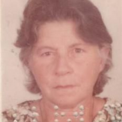 Maria do Carmo Viana