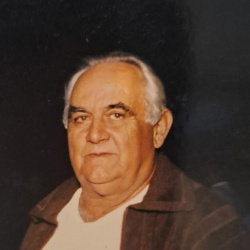 Waldemar de Araújo