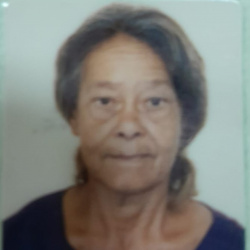 Maria de Lourdes Eusébio Vieira Alves