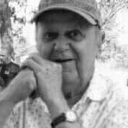Luiz José de Almeida
