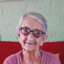 Iolanda Viegas Ribeiro