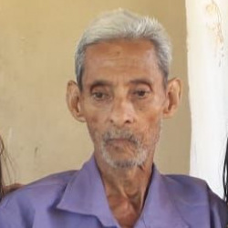 Domingos Malaquias da Cunha