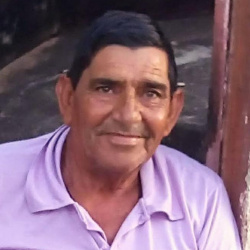 Waldir de Almeida Bastos