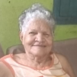 Altina Teodora de Jesus Silva