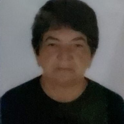 Ana das Dores Ribeiro