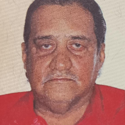 Mauricio Pereira