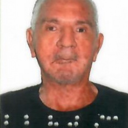 Vicente Apolinario dos Santos