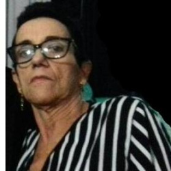 Aparecida Vilaça Peixoto Duarte