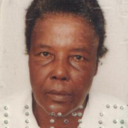 Ivani Maria de Jesus