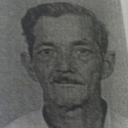 Bernardino Pereira
