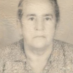 Margarida Maria Ferreira de Oliveira