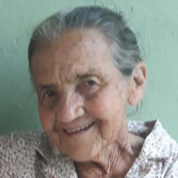 Maria José Teixeira