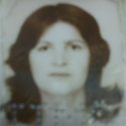 Conceição Alves Estevam