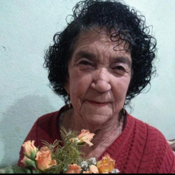 Maria de Lourdes de Oliveira Barcelos