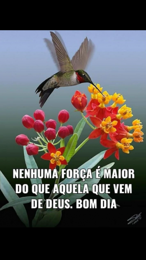 Foto de Homenagem