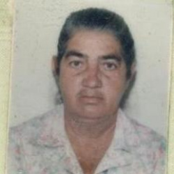 Celina Araujo Pimenta