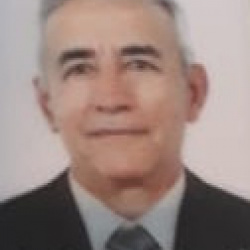 Geraldo José Viana