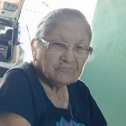 Maria Lucia Guedes Carvalho